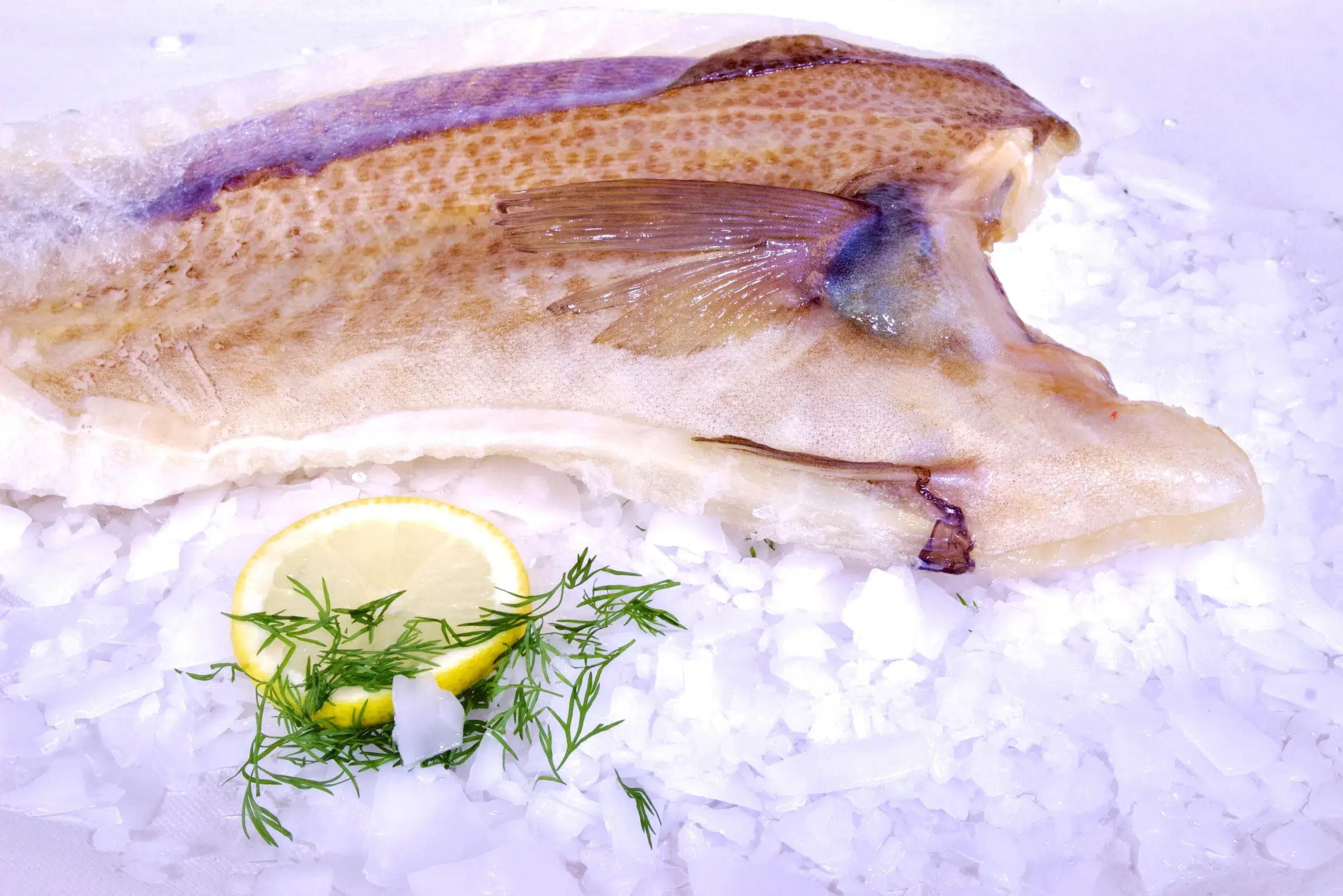 Lutefiskfilet