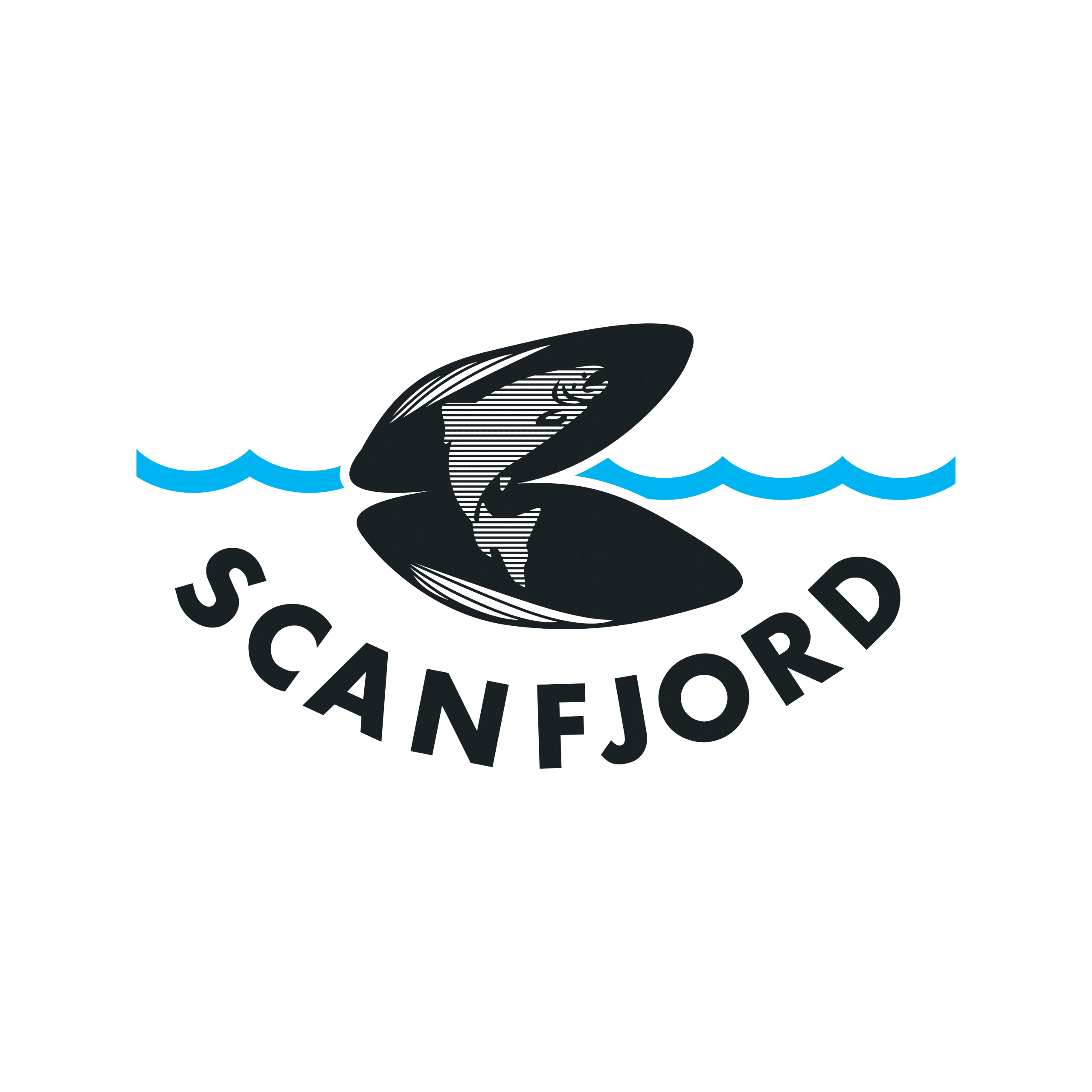 Scanfjord